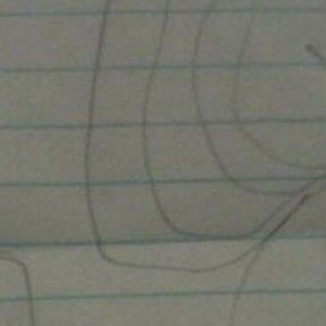 Meet your Posher, Savannah